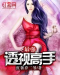 最强透视高手