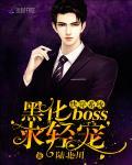 快穿系统：黑化BOSS，求轻宠