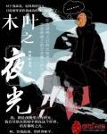 木叶之夜光