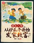 重生八零：从炒瓜子开始发家致富