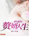 奶爸的赘婿人生