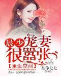 重生空间：晨少宠妻很嚣张