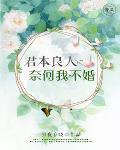 君本良人，奈何我不婚