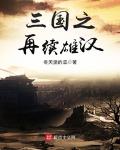 三国之再续雄汉