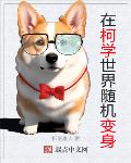 在柯学世界随机变身