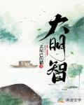 大明智