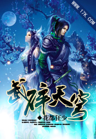 武碎天穹