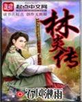 林炎传